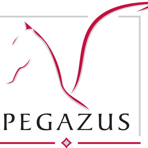 Pegazus Autópark-kezelő Zrt.