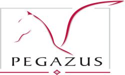 Pegazus Autópark-kezelő Zrt.